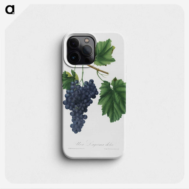 1-81_Pomona-Italiana_phone