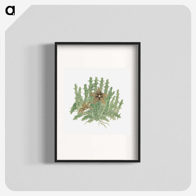 1-81_Robert-Jacob-Gordon_blk
