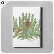 1-81_Robert-Jacob-Gordon_canvas