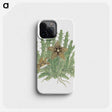 1-81_Robert-Jacob-Gordon_phone