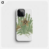 1-81_Robert-Jacob-Gordon_phone