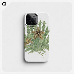1-81_Robert-Jacob-Gordon_phone