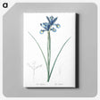 1-81_The-Lilies_canvas