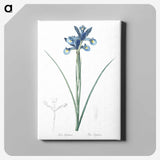 1-81_The-Lilies_canvas