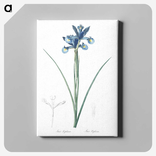 1-81_The-Lilies_canvas