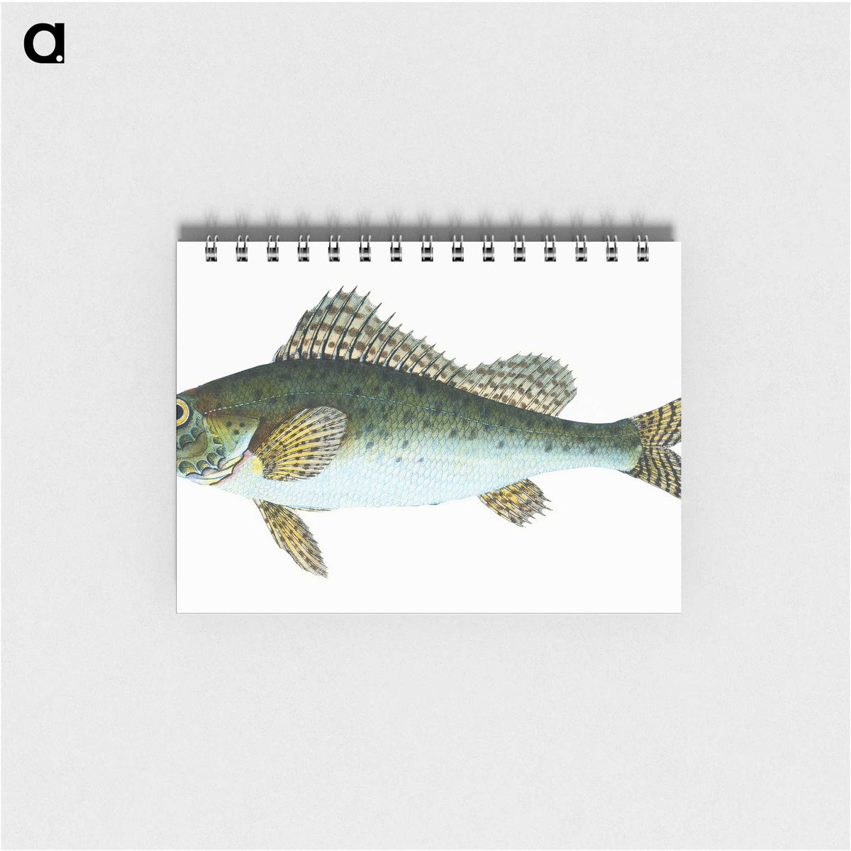 1-81_The-Natural-History-of-British-Fishes_memo