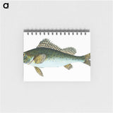 1-81_The-Natural-History-of-British-Fishes_memo
