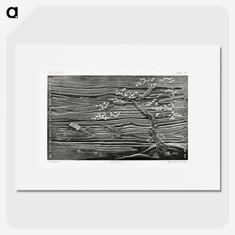 1-81_The-Ornamental-Arts-of-Japan_picture