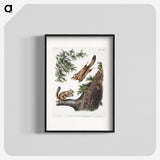 1-81_The-Viviparous-Quadrupeds_blk
