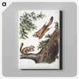 1-81_The-Viviparous-Quadrupeds_canvas