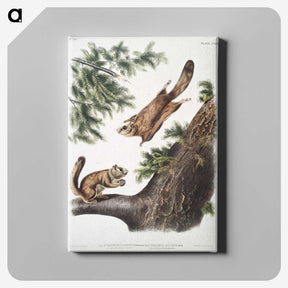 1-81_The-Viviparous-Quadrupeds_canvas