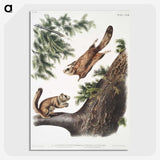 1-81_The-Viviparous-Quadrupeds_picture-crop