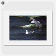 1-81_Thiel-Gallery_picture