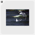 1-81_Thiel-Gallery_postcard