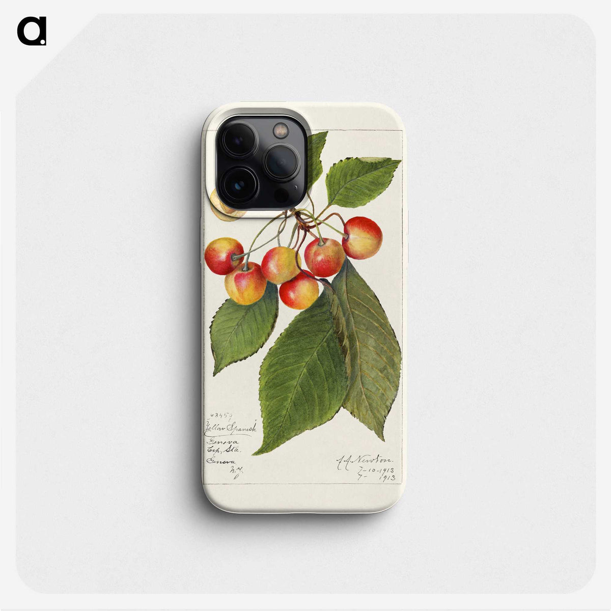 1-81_USDA-Watercolor-Fruit-Painting-Collection_phone