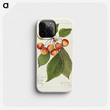 1-81_USDA-Watercolor-Fruit-Painting-Collection_phone