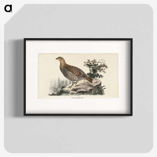 1-81_Wilhelm-von-Wright_blk