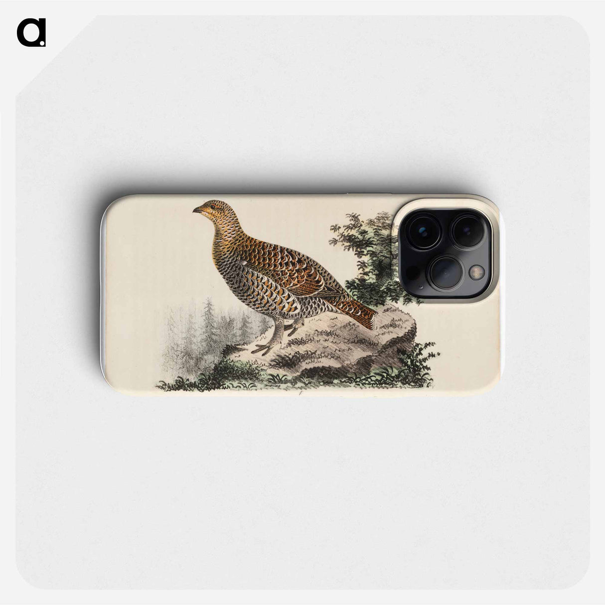 Rackelhahn, female - Wilhelm von Wright Phone Case.