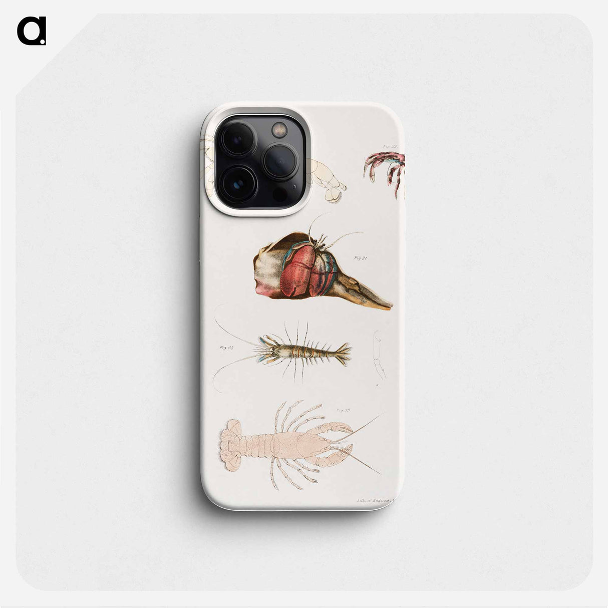 Different types of sea creatures illustration from Zoology of New York by James Ellsworth De Kay - ニューヨークの動物学 Phone Case.