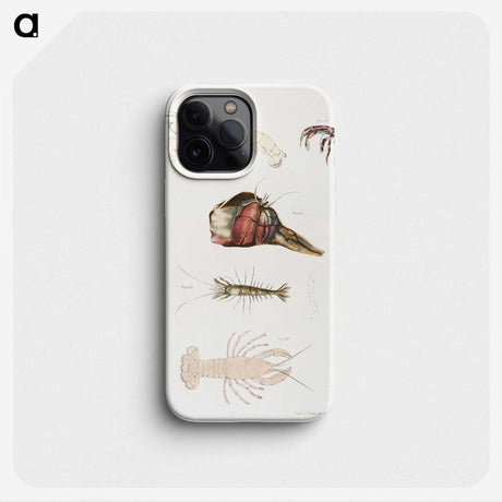 1-81_Zoology-of-New-York_phone