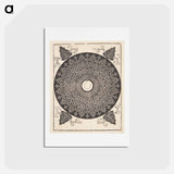 アートポストカード-Knob with white medallion - アルブレヒト デューラー Postcard.