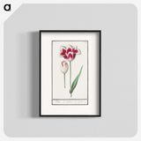 1-82_Anselmus-Boetius-de-Boodt_blk
