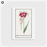 1-82_Anselmus-Boetius-de-Boodt_hagaki