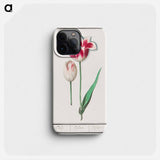 Tulip - アンセルムス ボエティウス デ ブート Phone Case.