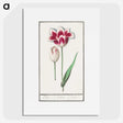 1-82_Anselmus-Boetius-de-Boodt_picture