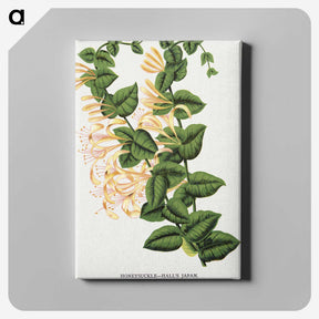 1-82_Botanical-Specimen-Plates_canvas