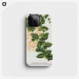 1-82_Botanical-Specimen-Plates_phone