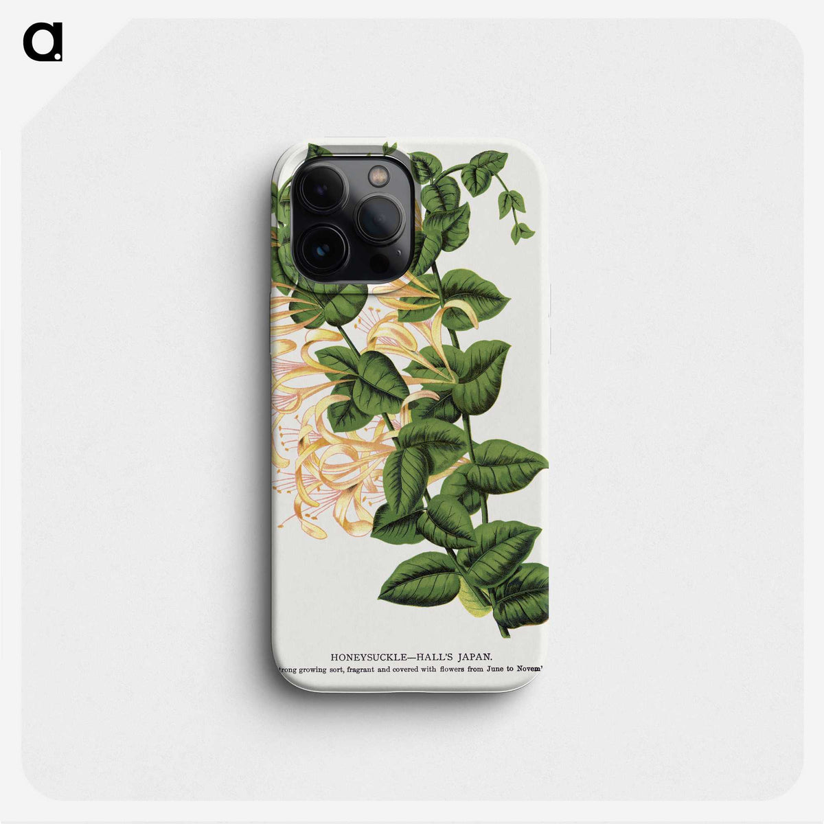 1-82_Botanical-Specimen-Plates_phone