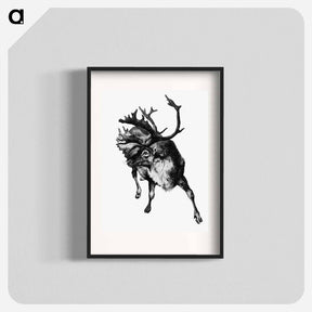 アートポスター-Reindeer Etching Illustration from Nimrod in the North
 - 大英図書館 Poster.