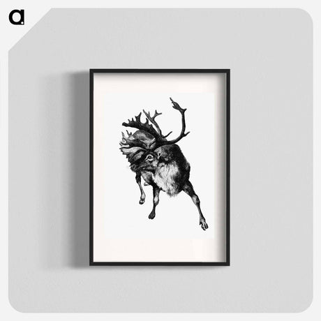 アートポスター-Reindeer Etching Illustration from Nimrod in the North
 - 大英図書館 Poster.
