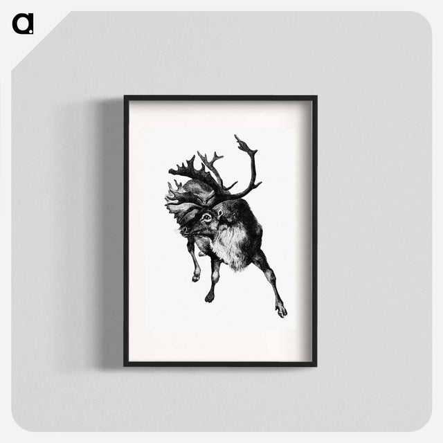 アートポスター-Reindeer Etching Illustration from Nimrod in the North
 - 大英図書館 Poster.