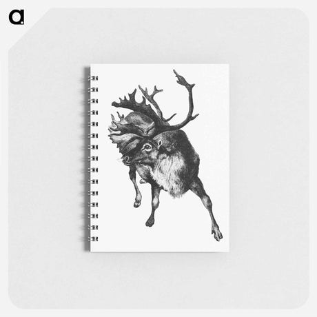 アートメモ帳-Reindeer Etching Illustration from Nimrod in the North
 - 大英図書館 Memo.