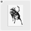 アートポストカード-Reindeer Etching Illustration from Nimrod in the North
 - 大英図書館 Postcard.