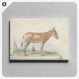 1-82_Charles-Hamilton-Smith_canvas