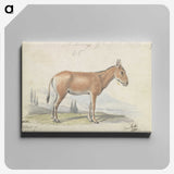 1-82_Charles-Hamilton-Smith_canvas