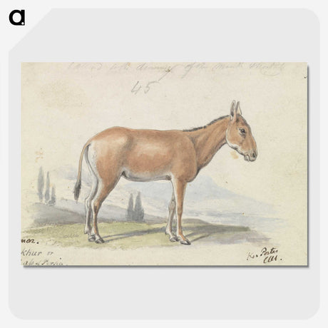 1-82_Charles-Hamilton-Smith_picture-crop