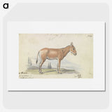 1-82_Charles-Hamilton-Smith_picture