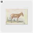 1-82_Charles-Hamilton-Smith_postcard