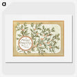 1-82_Christmas_picture