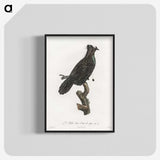 1-82_Des-Oiseaux-de-Paradis_blk-crop
