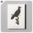 1-82_Des-Oiseaux-de-Paradis_canvas