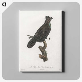 1-82_Des-Oiseaux-de-Paradis_canvas