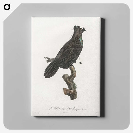 1-82_Des-Oiseaux-de-Paradis_canvas