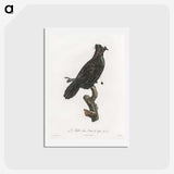 1-82_Des-Oiseaux-de-Paradis_hagaki