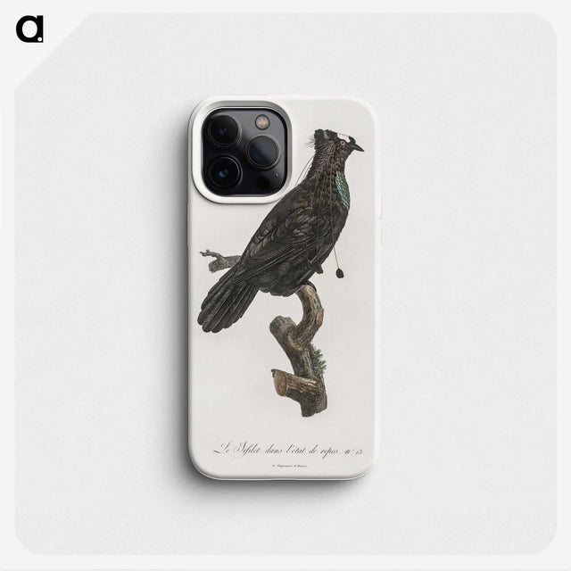 1-82_Des-Oiseaux-de-Paradis_phone