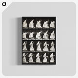 1-82_Eadweard-Muybridge_blk-crop